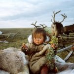 Летние моменты Севера